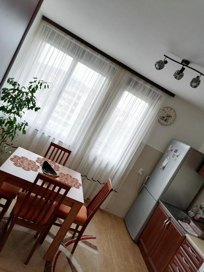 Apartman Lena アランジェロヴァツ エクステリア 写真